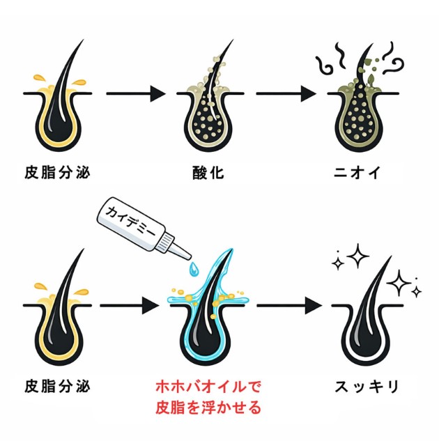 油は油でとる